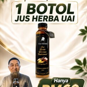 Set Rasa